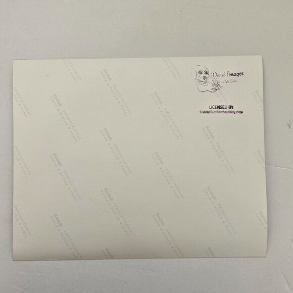 Grateful Dead Licensed Rob Cohn Photograph Of Phil Lesh Playing Bass Guitar - Picture 10 of 14